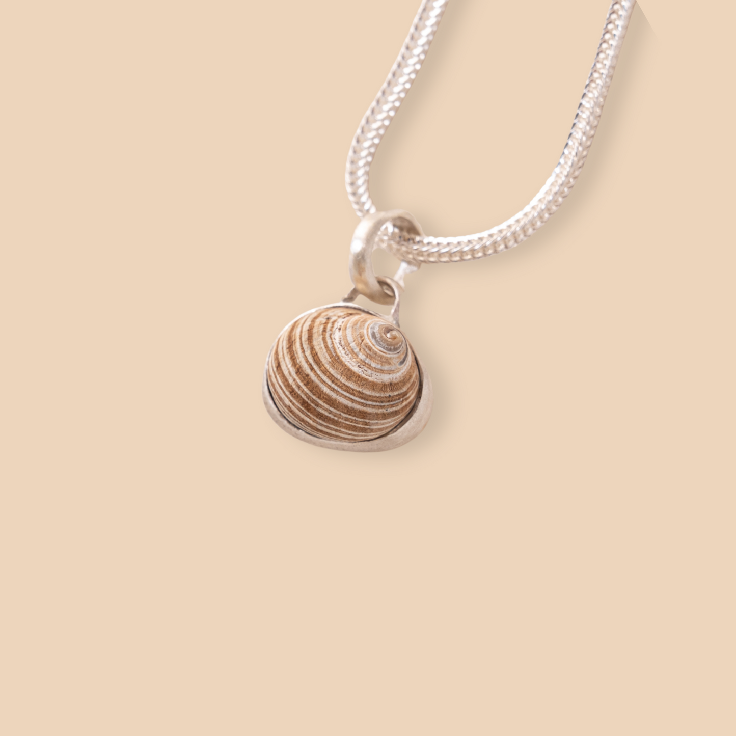 Shell Pendant No. 2 | Small Shell