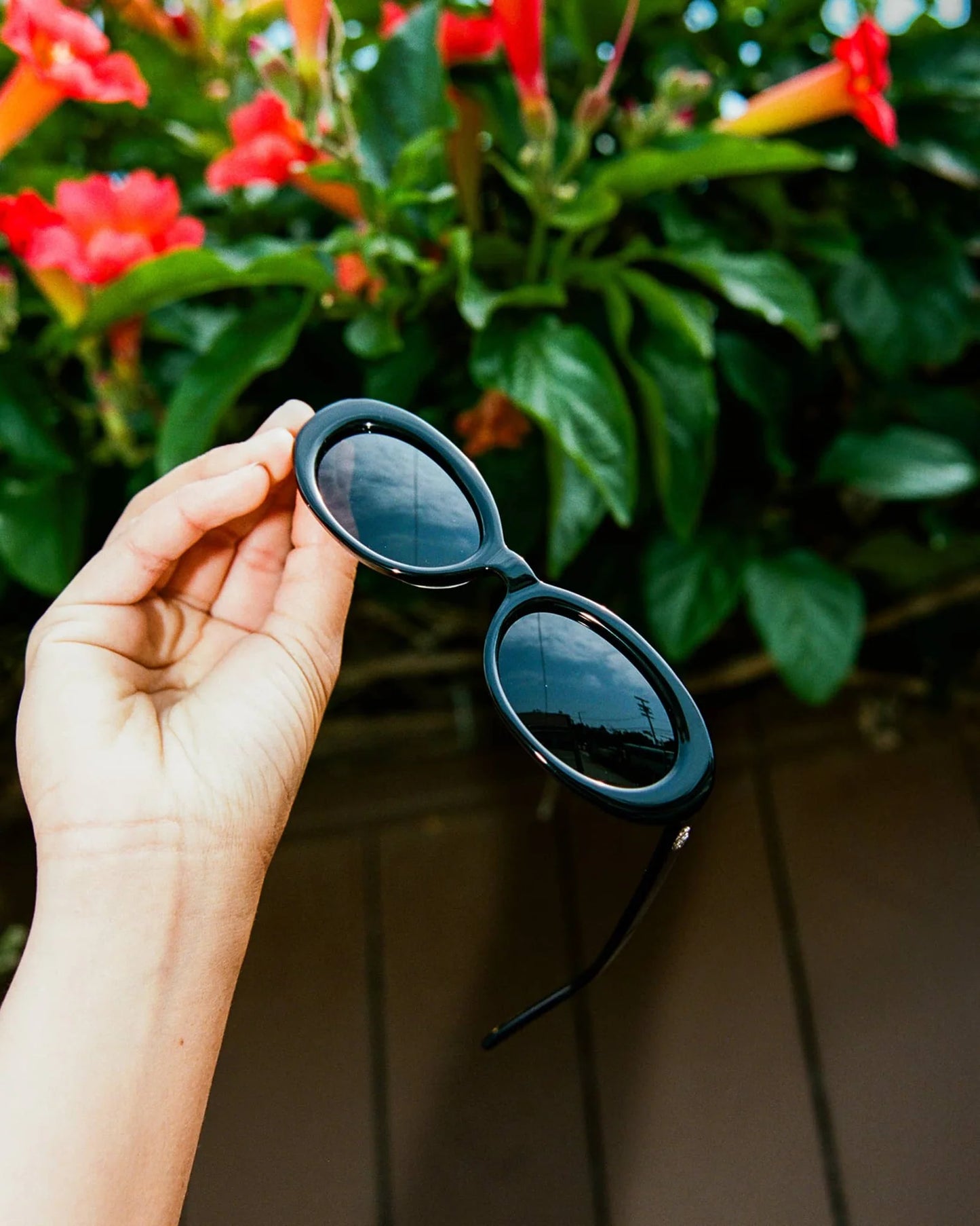 The Sweet Leaf Sunglasses