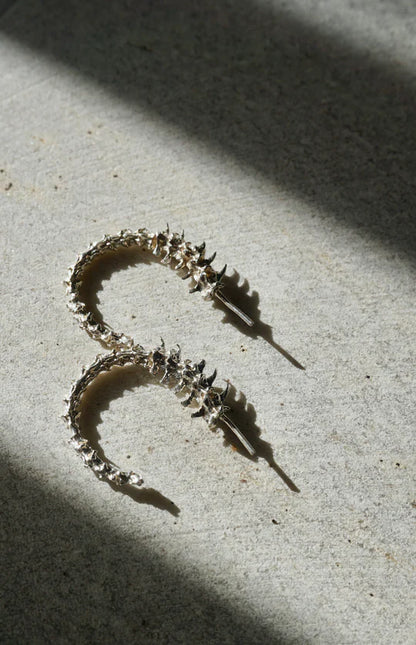 Rattlesnake Hoops