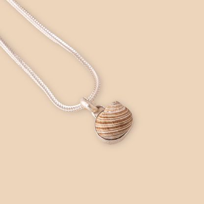 Shell Pendant No. 2 | Small Shell