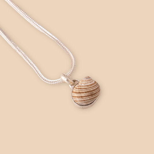 Shell Pendant No. 2 | Small Shell