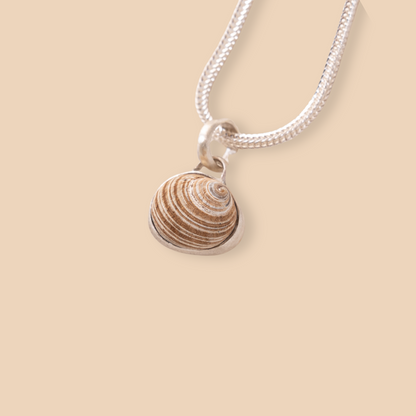 Shell Pendant No. 2 | Small Shell