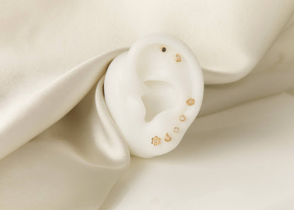 14k Gold Pompeii Single Stud Earring