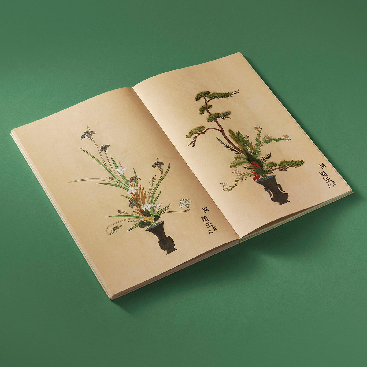 Ikebana: The Art and Beauty of Flower Arranging