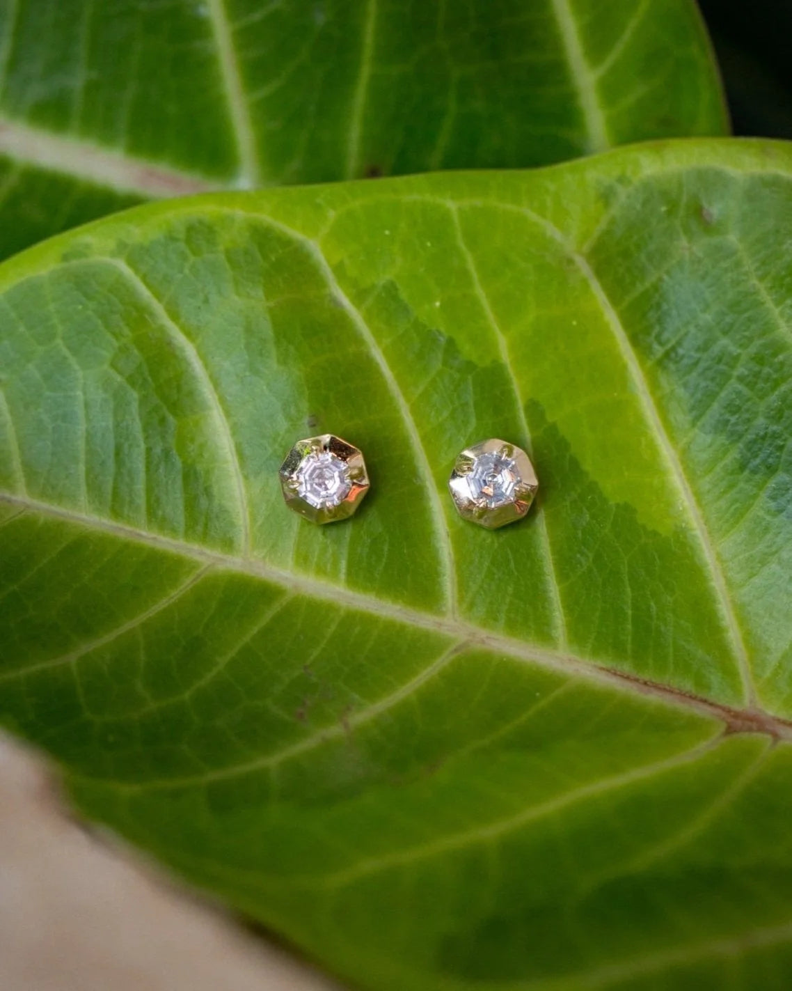 Gold Framed Diamond Earrings