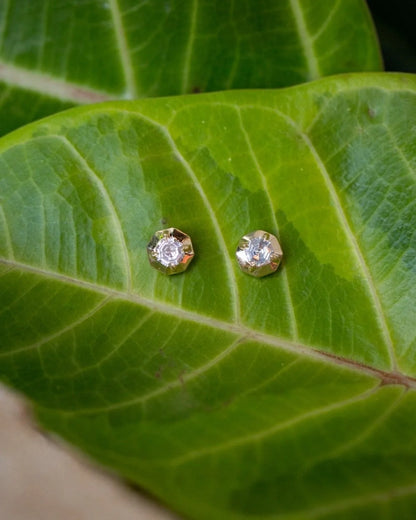 Gold Framed Diamond Earrings