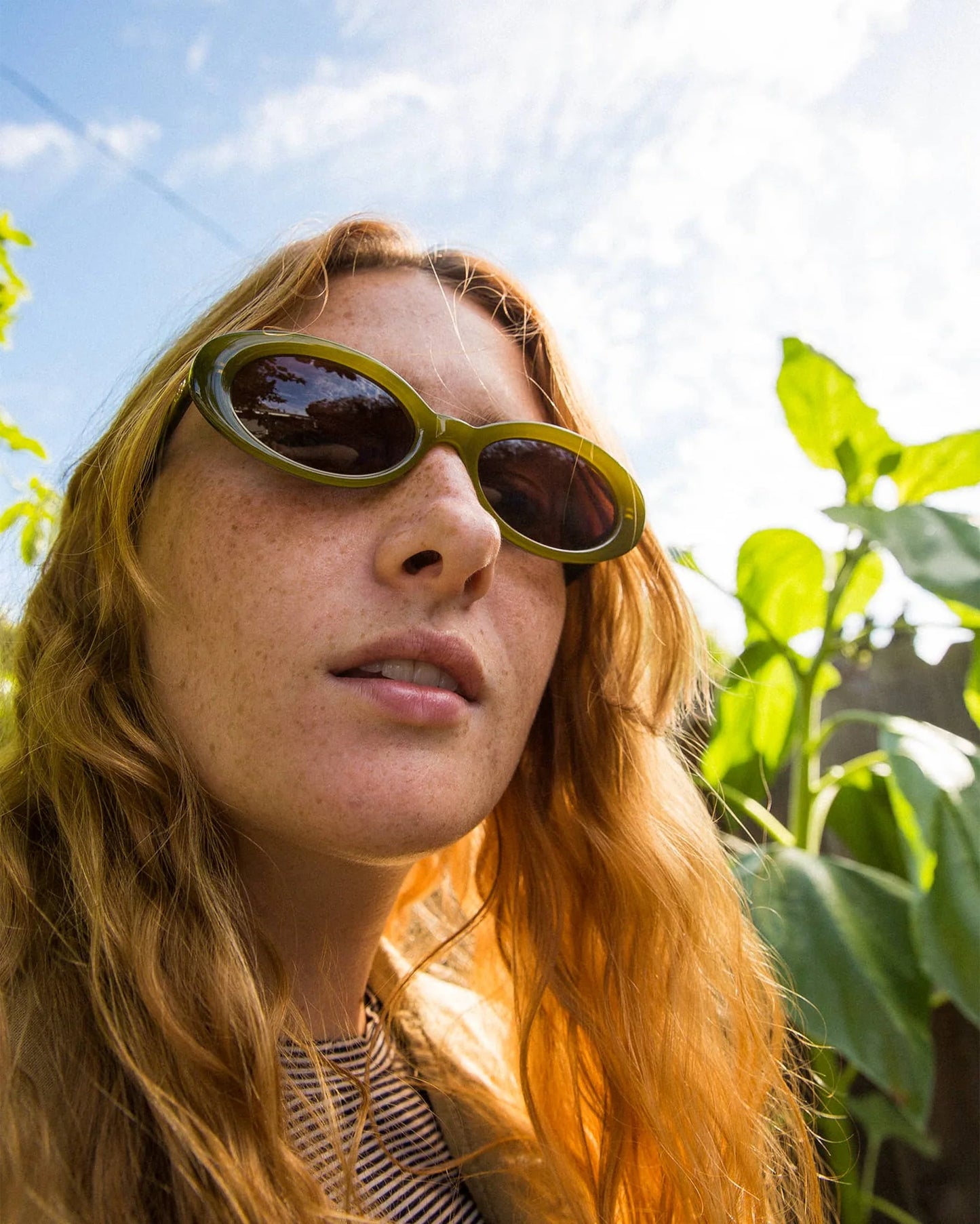 The Sweet Leaf Sunglasses