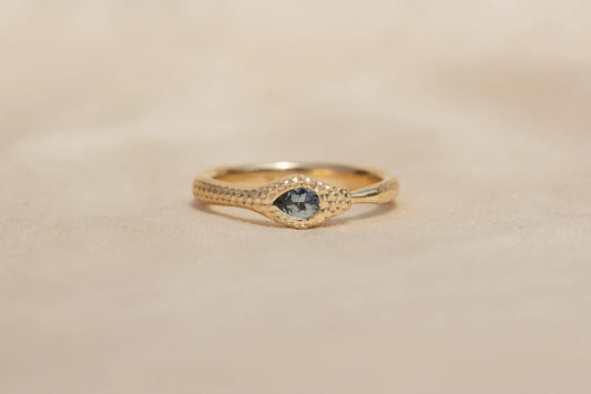Ouroboros Ring
