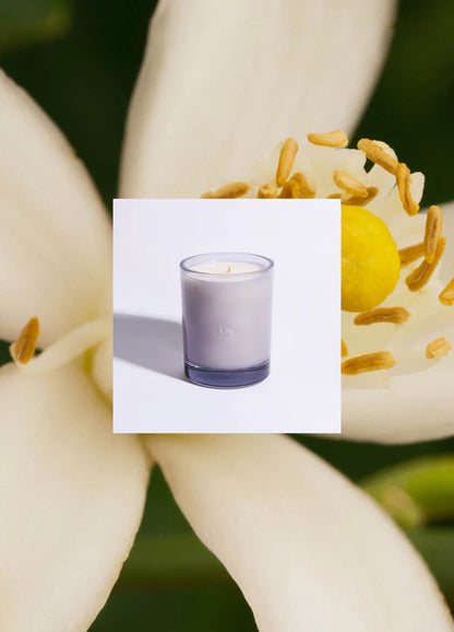 Neroli Weather Candle