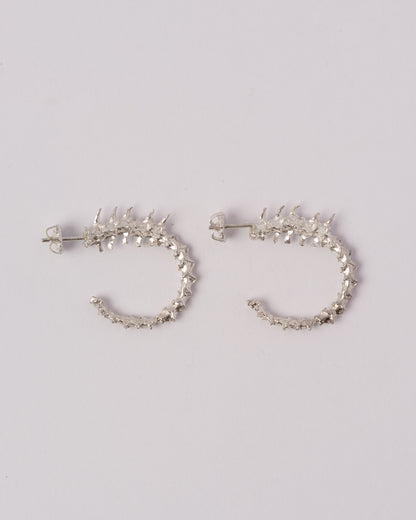 Rattlesnake Hoops
