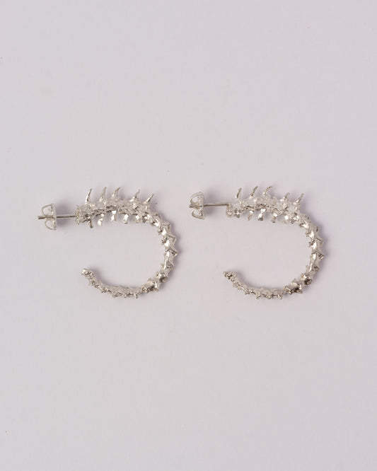 Rattlesnake Hoops