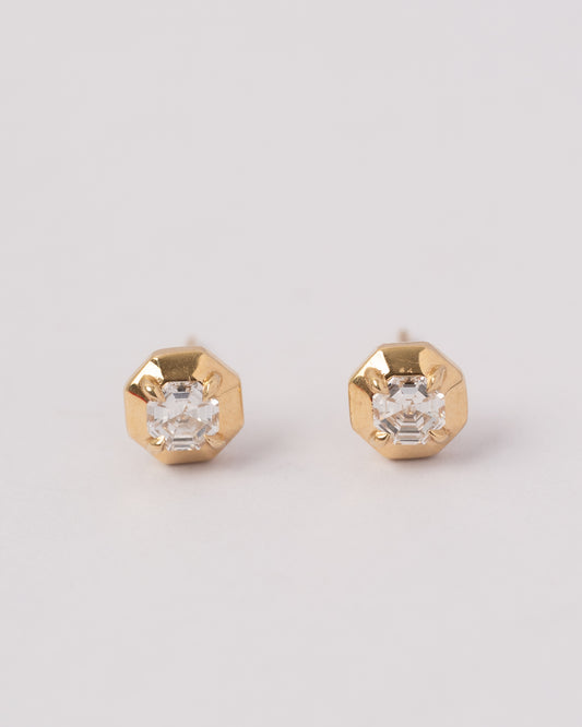 Gold Framed Diamond Earrings