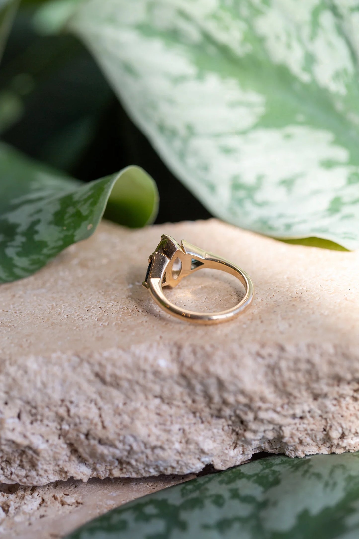Quinn Ring