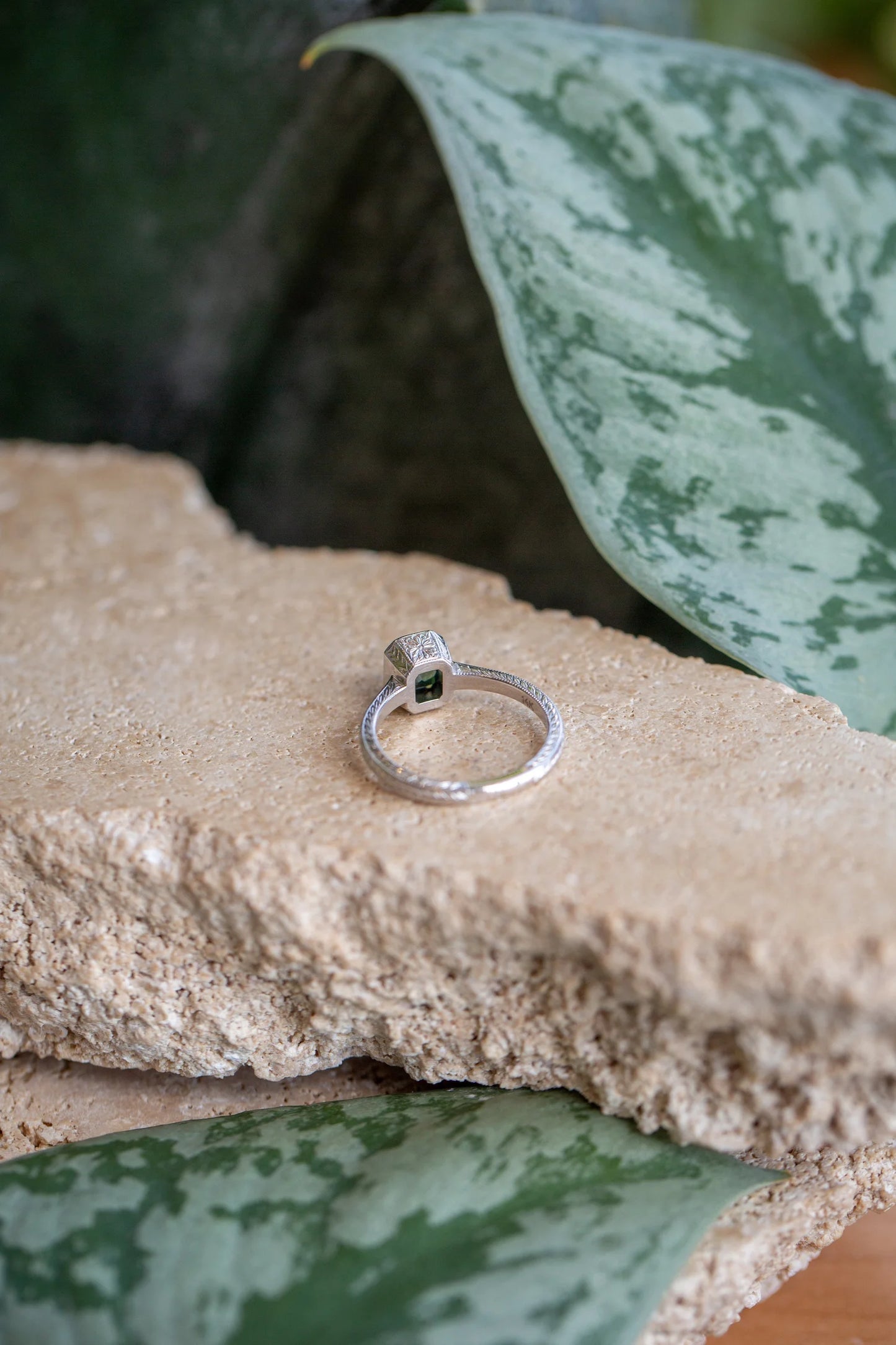 Wednesday Ring