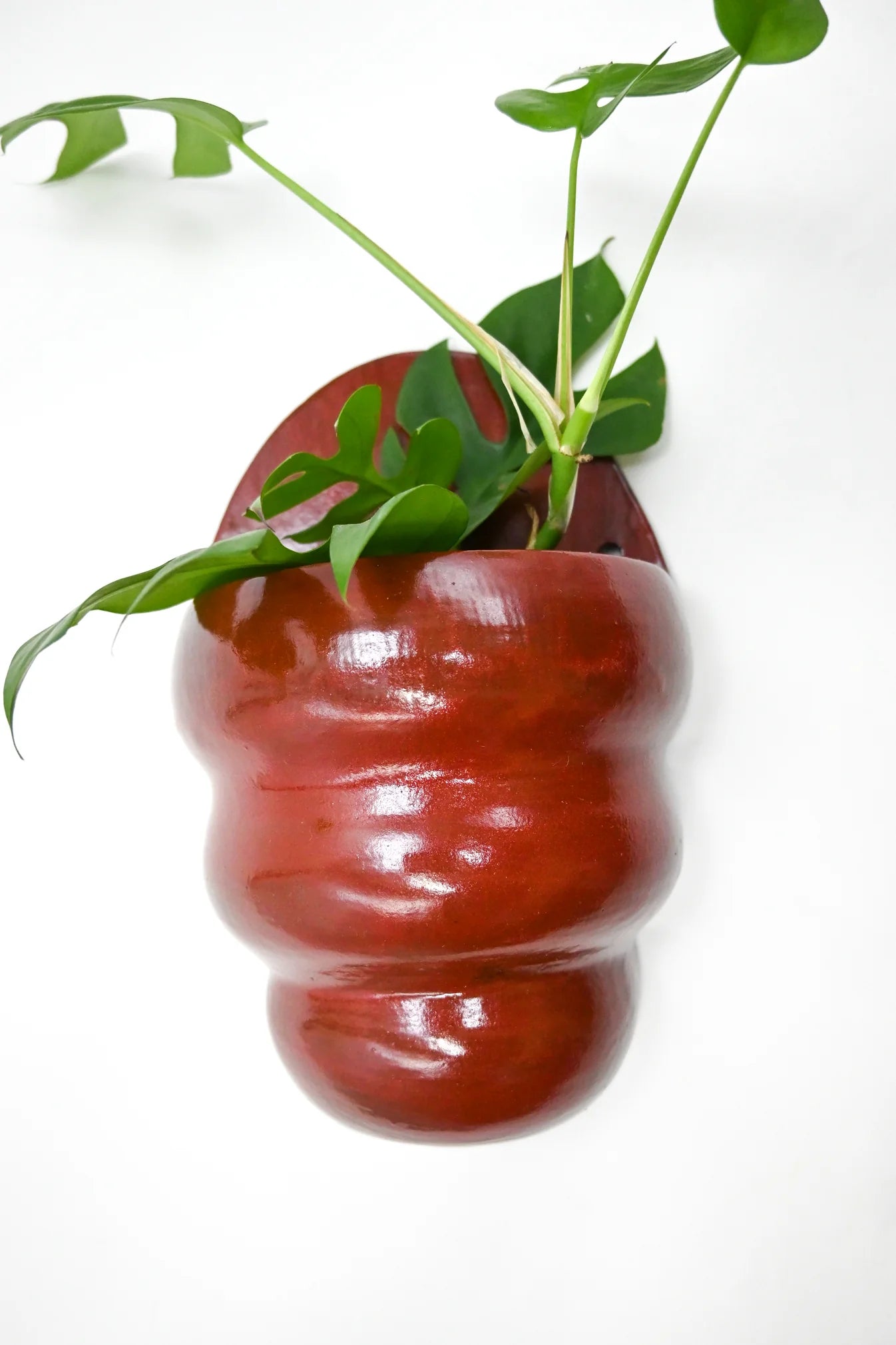 Wall Planter