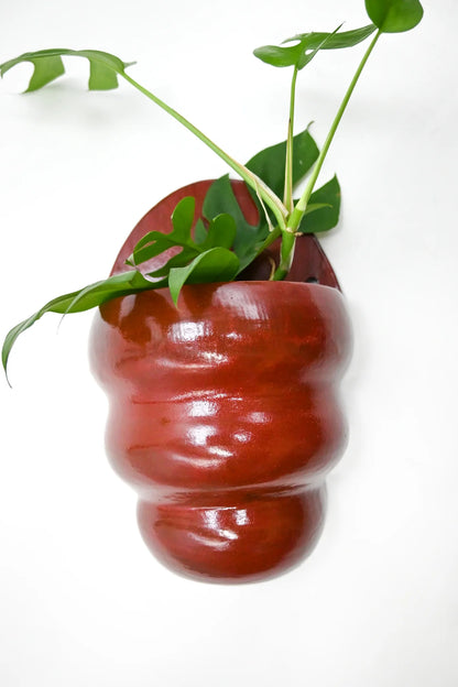 Wall Planter