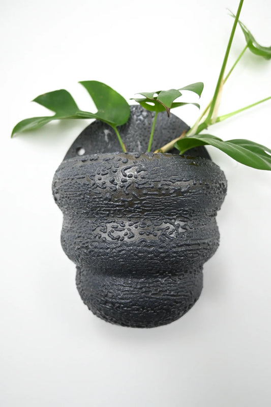 Wall Planter