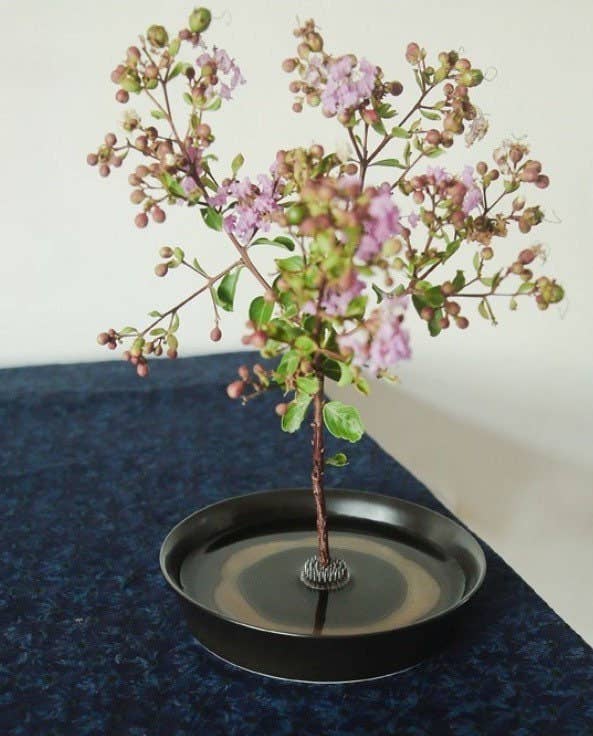 Frog Flower Stand