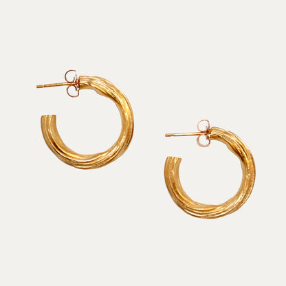 Voyager's Trail Hoops